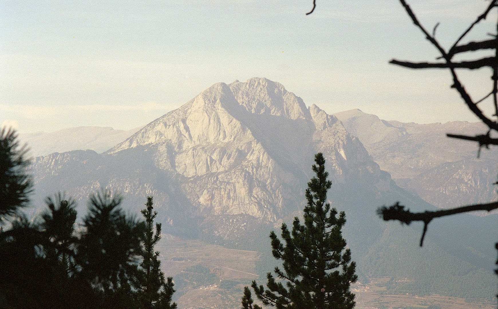 Entre els arbres no ens abandonava la vista del Pedraforca.