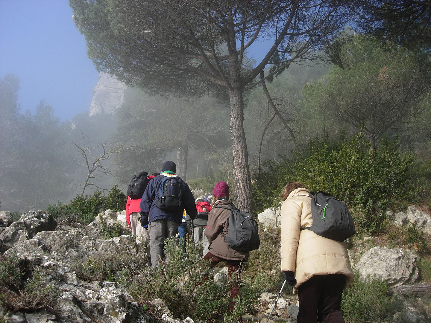 L’excursió va començar a uns graus sota zero, al sortir de l’autocar a Centelles. Ràpidament ens havíem posat a caminar. Després de tremolar una mica esmorzant, la pujada ens feia passar el fred. Entre la boira s’endevinava que el sol lluiria quan haguéssim pujat una mica mes.