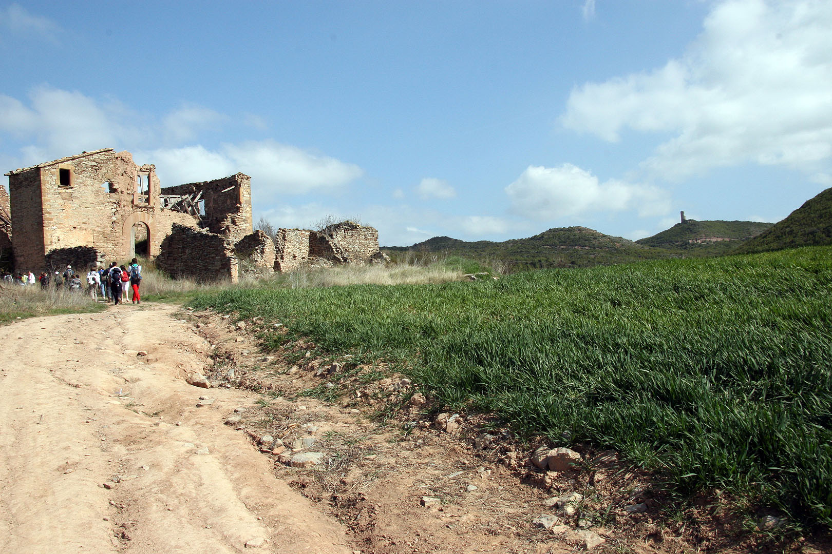 A la dreta, per sobre el camp d’herba i dalt de la muntanya es veu la Torra dels Moros de Castellnou de Bages, on dinaríem. Mancava encara un tros de pujada.