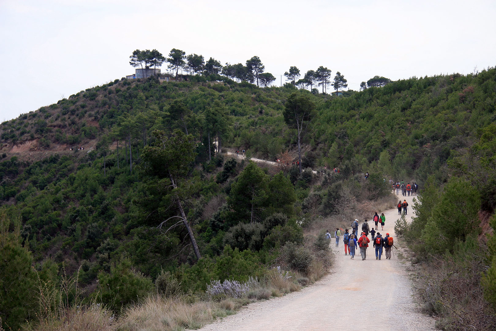 Després de la Oració repreníem la marxa. Encara quedava una estona de pista fins arribar a Castellnou de Bages.