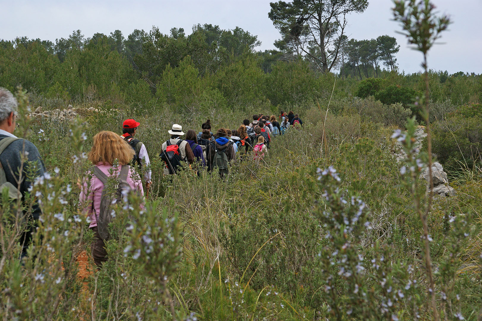 Ens posarem de nou en camí. Primer planer i després en forta baixada.