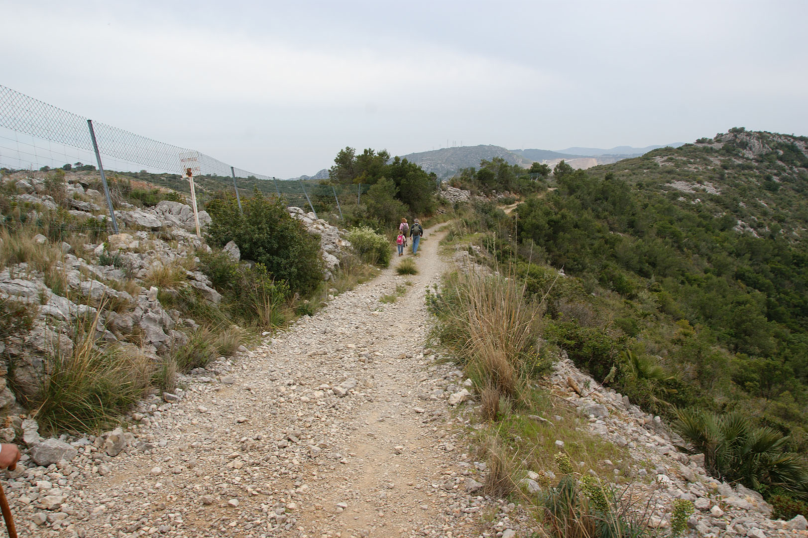 Distrets fent fotos de flors, ens hem allunyat una mica.