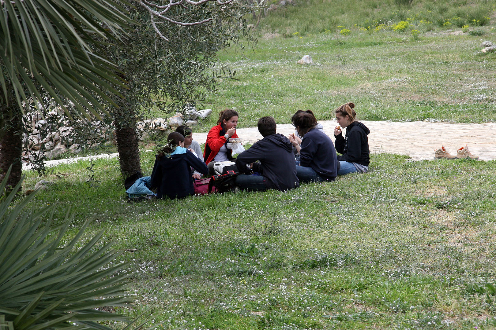 Per grups, ens asseiem a refer forces.