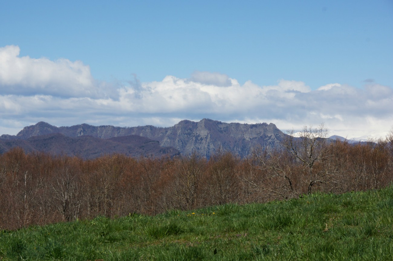 El Puigsacalm.