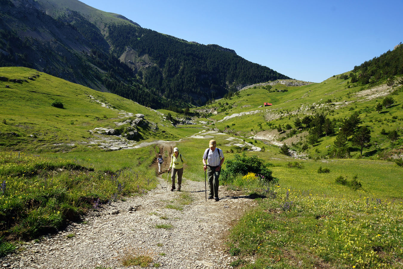 Plans de Napazal i Refugi Saleras - Barranc de Igüer - Aisa - Huesca.