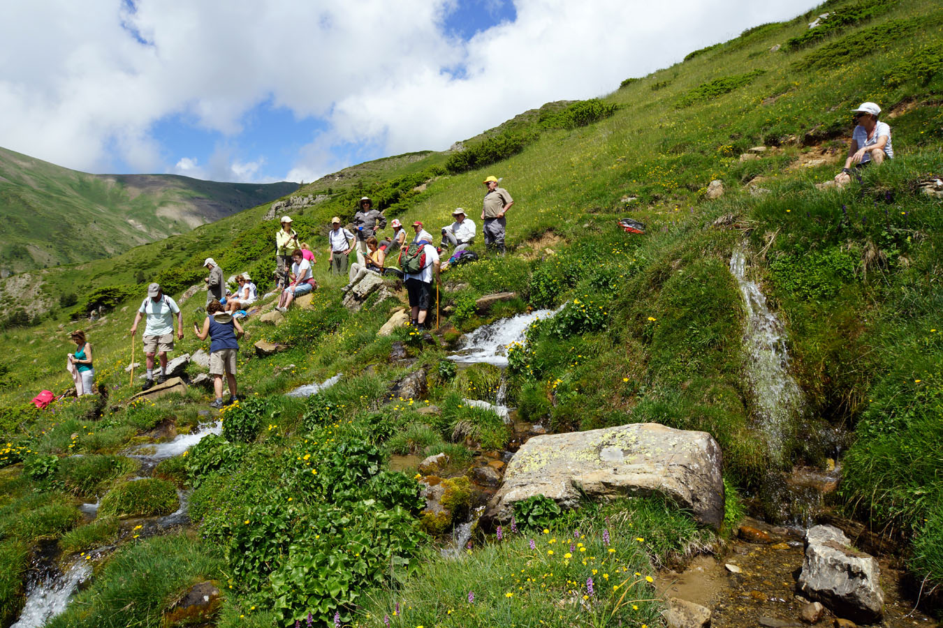 Naixement del Riu Rigüelo - Barranc del Riu Estarrón - Aisa - Huesca.