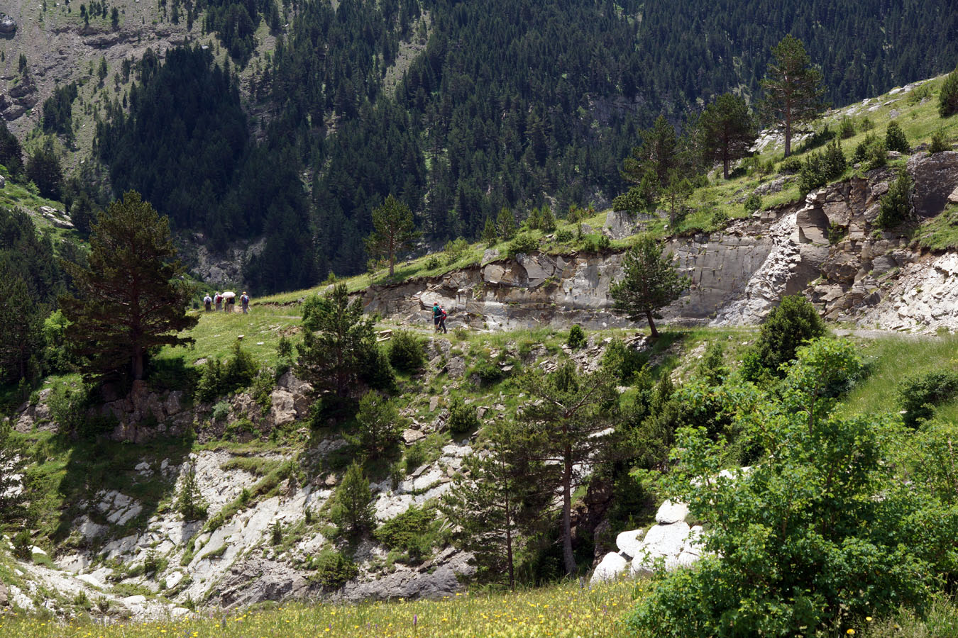 Barranc de Igüer - Aisa - Huesca.