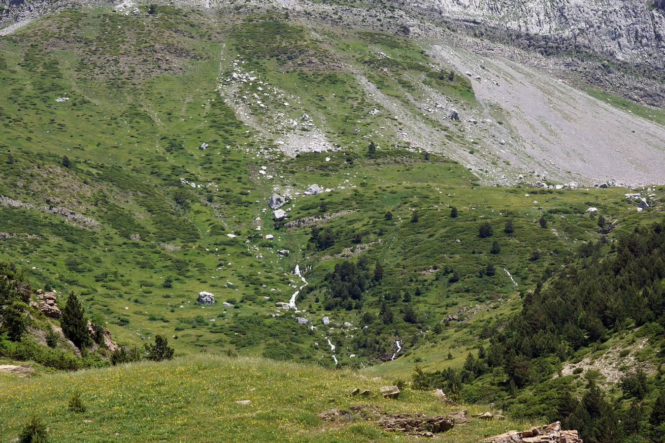 Naixement del Riu Rigüelo - Barranc de Estarrón - Aisa - Huesca.
