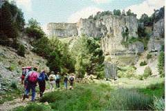 Can del ro Lobos