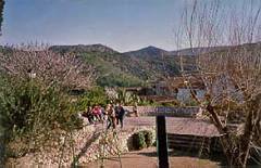 Plaza de la iglsia de Olivella