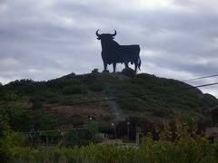 El toro de Osborne, vigilando el camino de Santiago